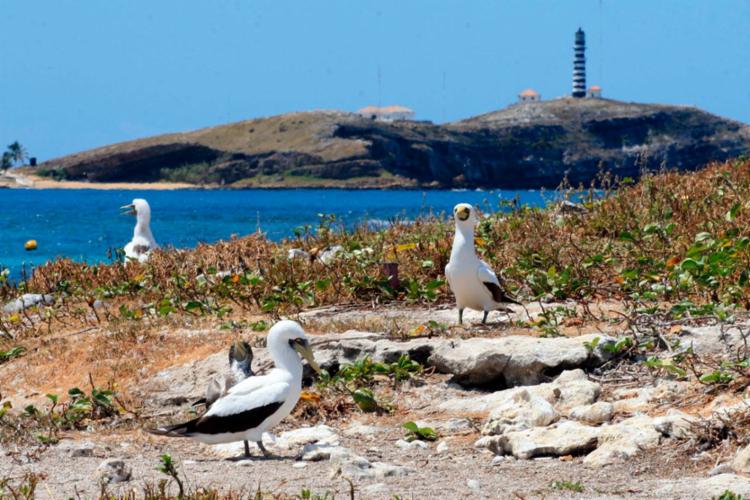 Na imagem, o Parque Nacional Marinho de Abrolhos, no Extremo Sul da Bahia - Foto: Joá Souza | Ag. A TARDE | 10.09.2008 Na imagem, o Parque Nacional Marinho de Abrolhos, no Extremo Sul da Bahia - Foto: Joá Souza | Ag. A TARDE | 10.09.2008