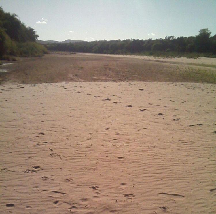 Por conta da longa estiagem que atinge o estado, trecho do rio de Contas, em Manoel Vitorino, secou - Foto: Foto do leitor l Antônio Galdino