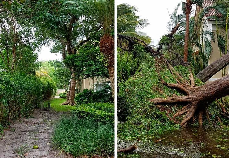 Varanda da casa antes e depois da passagem do furacão