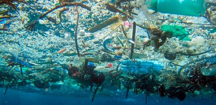 Cerca de 75% das 8,3 bilhões de toneladas de plástico produzidas pelo ser humano desde a invenção do plástico já viraram lixo - Foto: NOAA | Divulgação