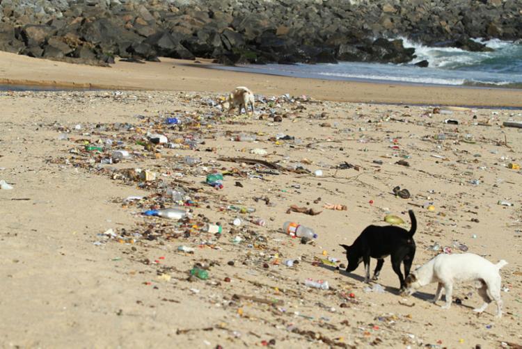 Em Salvador e RMS é comum encontrar dejetos perto de praias, rios, canais e bueiros - Foto: Tiago Caldas | Ag. A TARDE | 21.06.2018