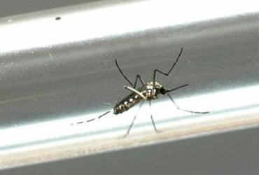 Casos suspeitos de dengue crescem 280% | Venilton Kuchler | ANPr