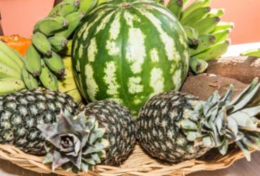 Agricultura familiar se destaca na 3ª Expo Paraguaçu em Itaberaba