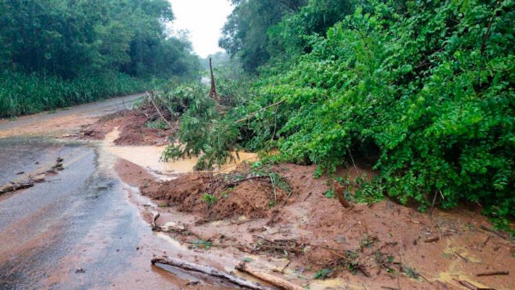 Quedas de árvores e deslizamento de terra em trecho da BR-324