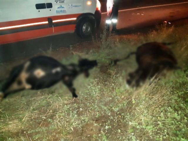 Quatro pessoas morrem em acidente na BR-407