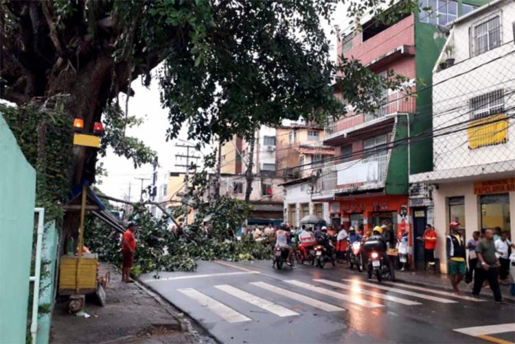 No bairro do IAPI, uma árvore caiu e acabou atingindo a rede elétrica próxima ao Hospital Mário Leal