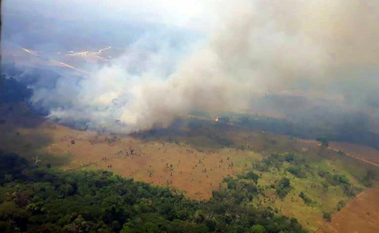 Investigações mostram que o grupo já derrubou e tocou fogo em mais de 5 mil quilômetros de mata - Foto: Divulgação | Agencia Pará