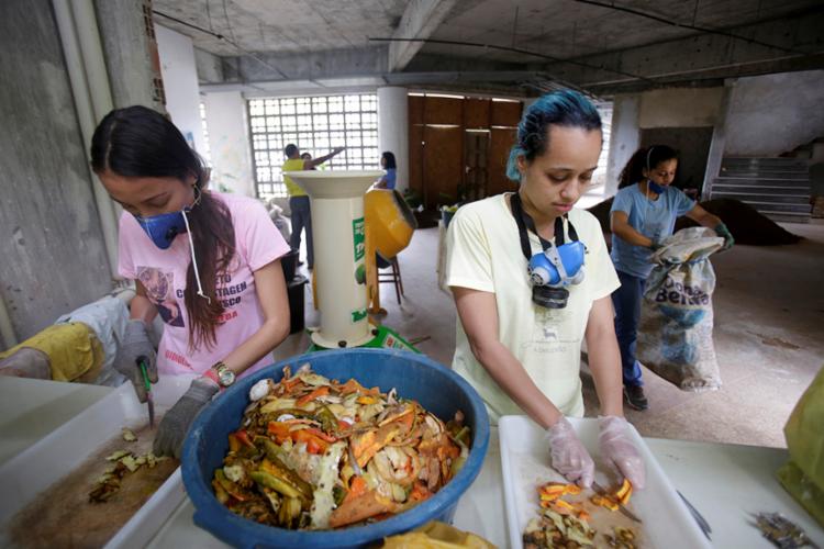 Cascas de frutas e verduras da cantina do campus de Biologia também são usados na produção do fertilizante