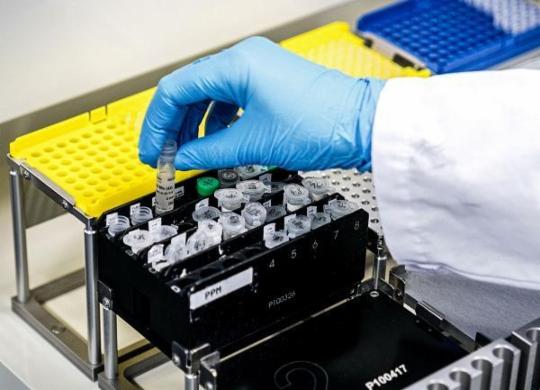 "Primeira paciente da Bahia com covid-19 livrou-se do vírus", diz secretario de Saúde | Rob Engelaar | ANP | AFP