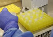 Cidades com casos de Covid-19 ganham testes rápidos | Divulgação | Fiocruz