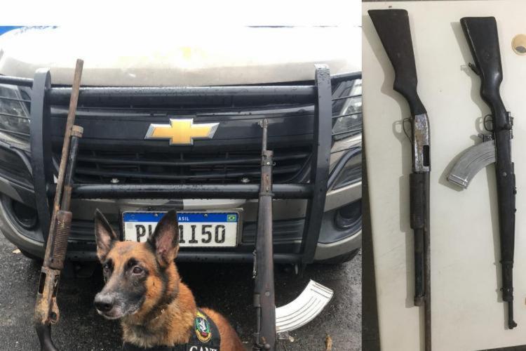Cão ajudou na apreensão de armamento | Foto: Divulgação | SSP - Foto: Divulgação | SSP Cão ajudou na apreensão de armamento | Foto: Divulgação | SSP - Foto: Divulgação | SSP