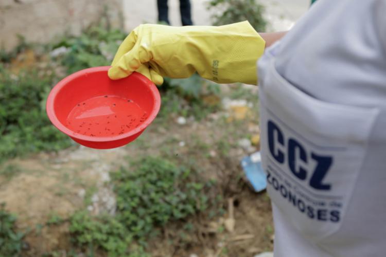 Ação é promovida pelo Centro de Controle de Zoonoses (CCZ) - Foto: Bruno Concha | Divulgação | Secom Ação é promovida pelo Centro de Controle de Zoonoses (CCZ) - Foto: Bruno Concha | Divulgação | Secom