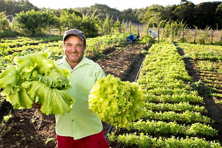 Os projetos englobam o desenvolvimento de técnicas agrícolas e pecuárias sustentáveis, para diversas culturas e espécies animais, e a comercialização de produtos - Foto: Divulgação Os projetos englobam o desenvolvimento de técnicas agrícolas e pecuárias sustentáveis, para diversas culturas e espécies animais, e a comercialização de produtos - Foto: Divulgação