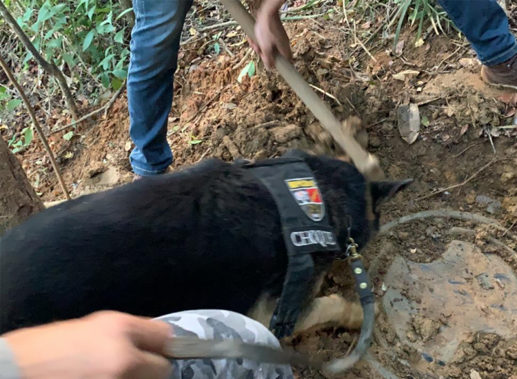 Bunker foi encontrado com ajuda de cão farejador | Foto: Divulgação | SSP