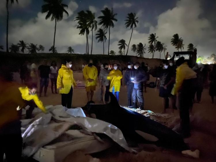 Tentativa de remoção foi feita, porém, a complexa operação foi impossibilitada | Foto: Reprodução | Cidadão Repórter via WhatsApp