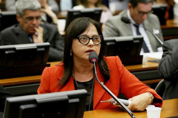 Alice Portugal frisa que estratégia tem uma vigência para além do mandato do presidente Jair Bolsonaro | Foto: Agência Câmara