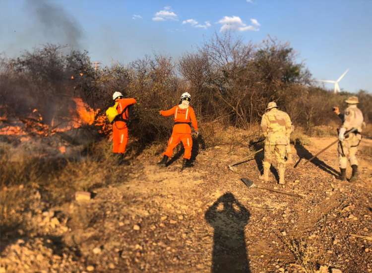 Bombeiros iniciaram o combate em Xique-Xique neste domingo, 4 | Foto: Divulgação | CBMBA - Foto: Divulgação | CBMBA Bombeiros iniciaram o combate em Xique-Xique neste domingo, 4 | Foto: Divulgação | CBMBA - Foto: Divulgação | CBMBA