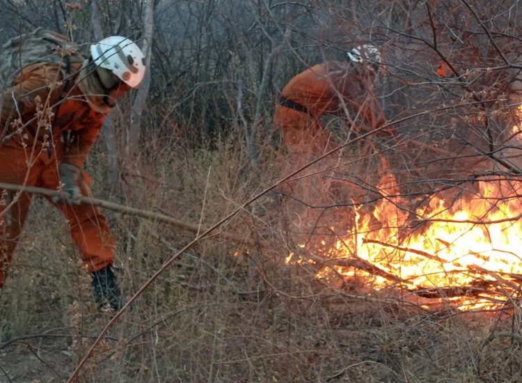 Vários focos de incêndio foram localizados em Barra | Foto: Divulgação | CBMBA - Foto: Divulgação | CBMBA Vários focos de incêndio foram localizados em Barra | Foto: Divulgação | CBMBA - Foto: Divulgação | CBMBA